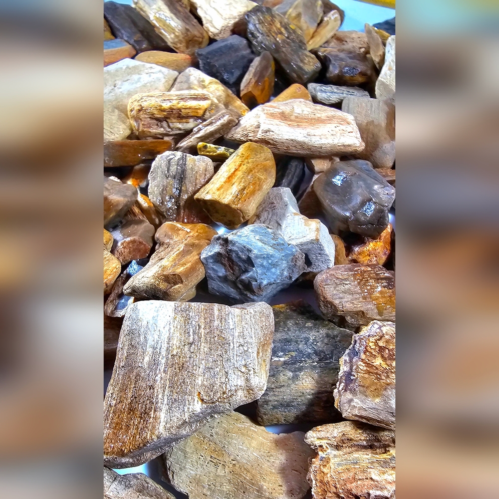 Raw, Rough Petrified Wood for Rock Tumbler 8 oz 1 inch Pieces
